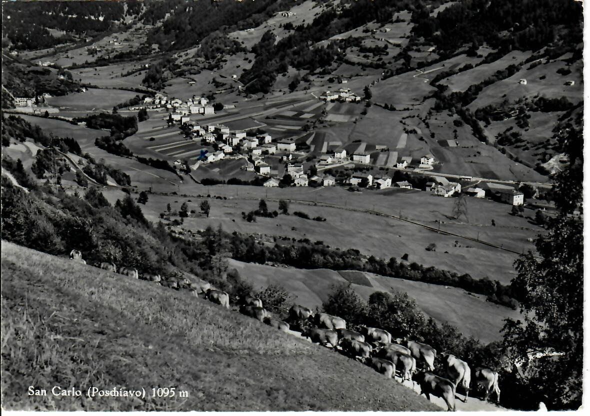 Ansichtskarten: San Carlo – Gebraucht aus Hochdorf von Ziegel-16