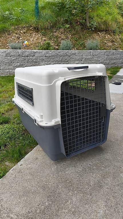 Gabbie, trasporto & Sicurezza: Hundebox / Tiertransportbox – Usato da Brunnadern venduto da lala043