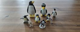 Pinguin-Figuren Set, 8-teilig, für Sammler und Liebhaber!