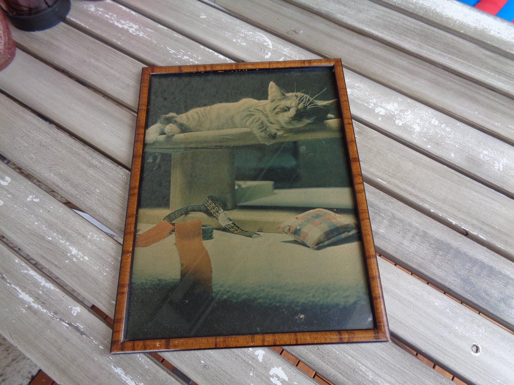 Foto & Immagini: Katzenbild antik – Usato da Hägglingen venduto da Orysen