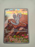 Pokemon Minccino Picochilla Black Bolt Illustration Rare