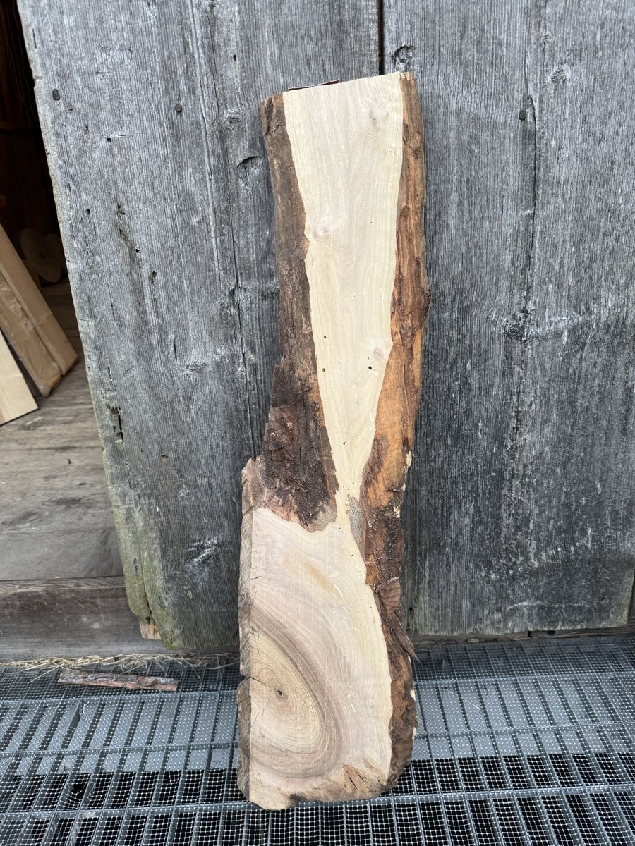 Articoli in legno: Nussbaum Brett gehobelt – Usato da Frick venduto da nannali98