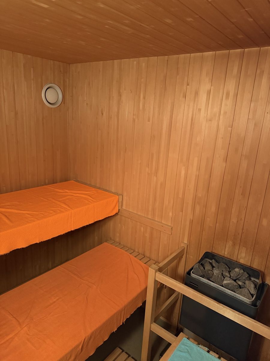 Sauna & Accessori: Sauna – Usato da Bargen SH venduto da Hamuelle