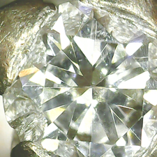 Profile image of Unibrocki