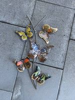 Schmetterlinge als Wanddeko / Outdoor 