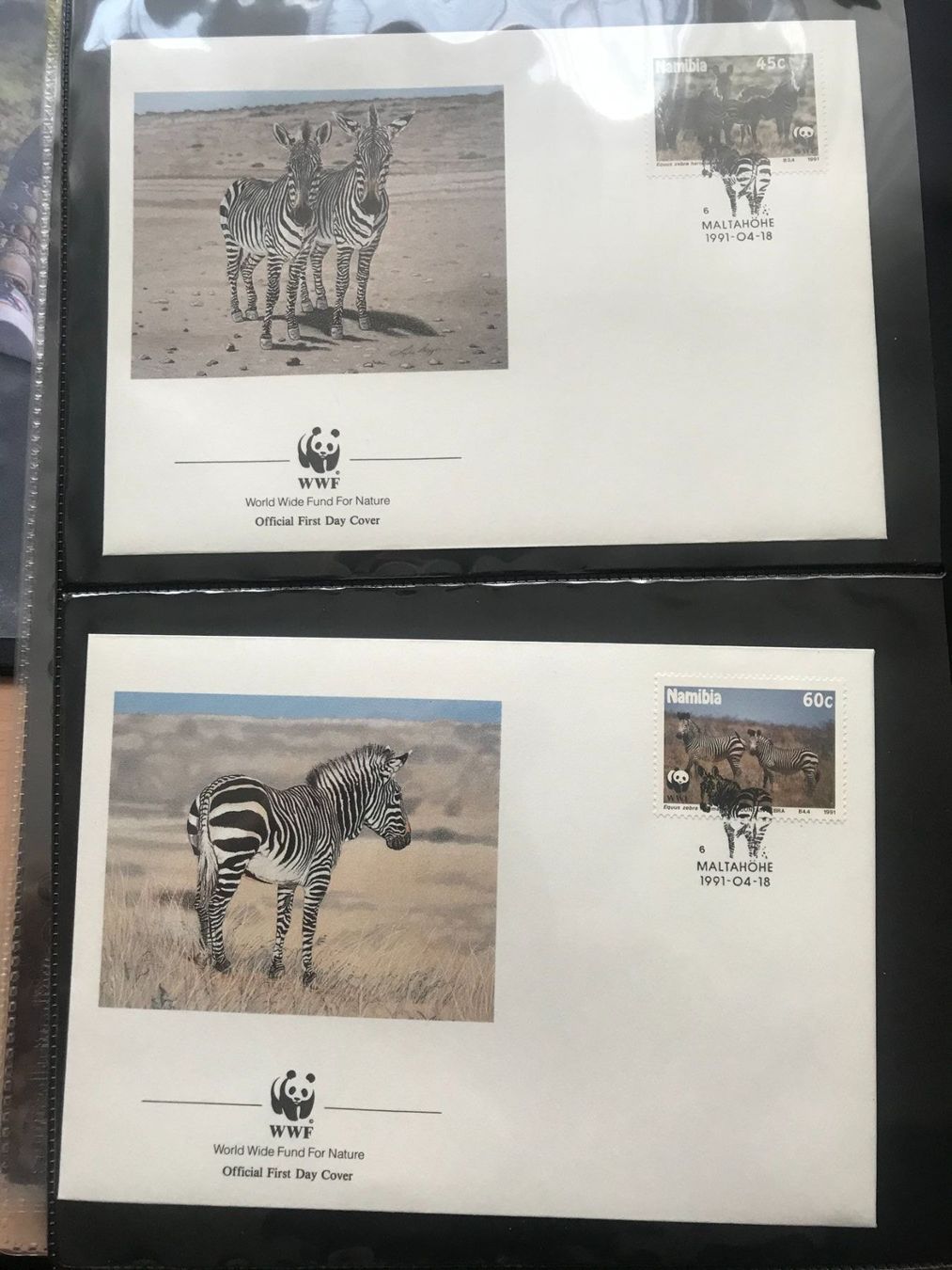 Tutti i francobolli: WWF Namibia 1991 Bergzebra Satz illustrierte Ersttagsbriefe – Nuovo (secondo la descrizione) da Liestal venduto da schnueps 1