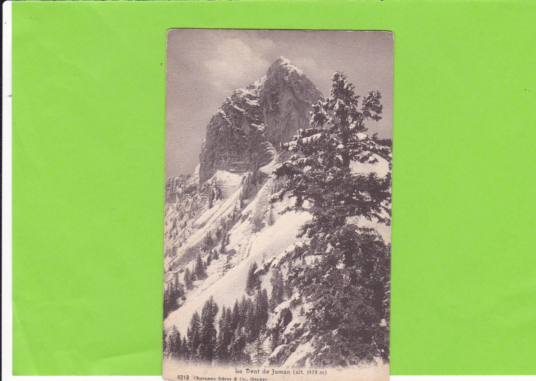 Cartoline postali: La Dent de Jaman – Usato da St. Peterzell venduto da neckertal