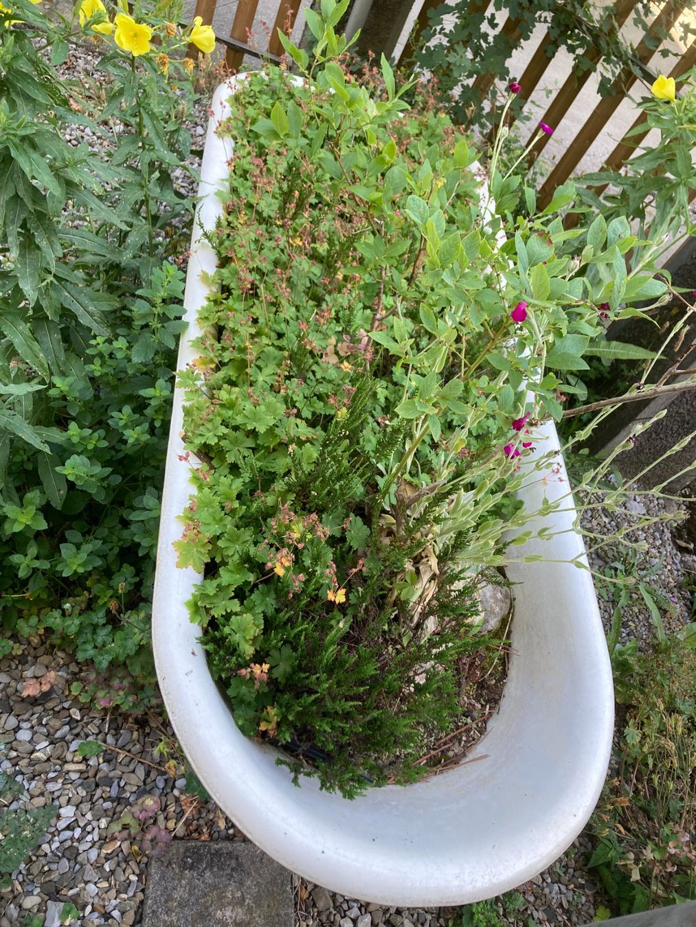 Vasche da bagno: Bemalte Gusseisenbadewanne – Usato da Spiez venduto da crew7 4
