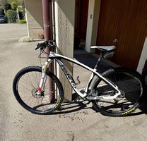 Mountainbike Velo Carbon 29 Roleto