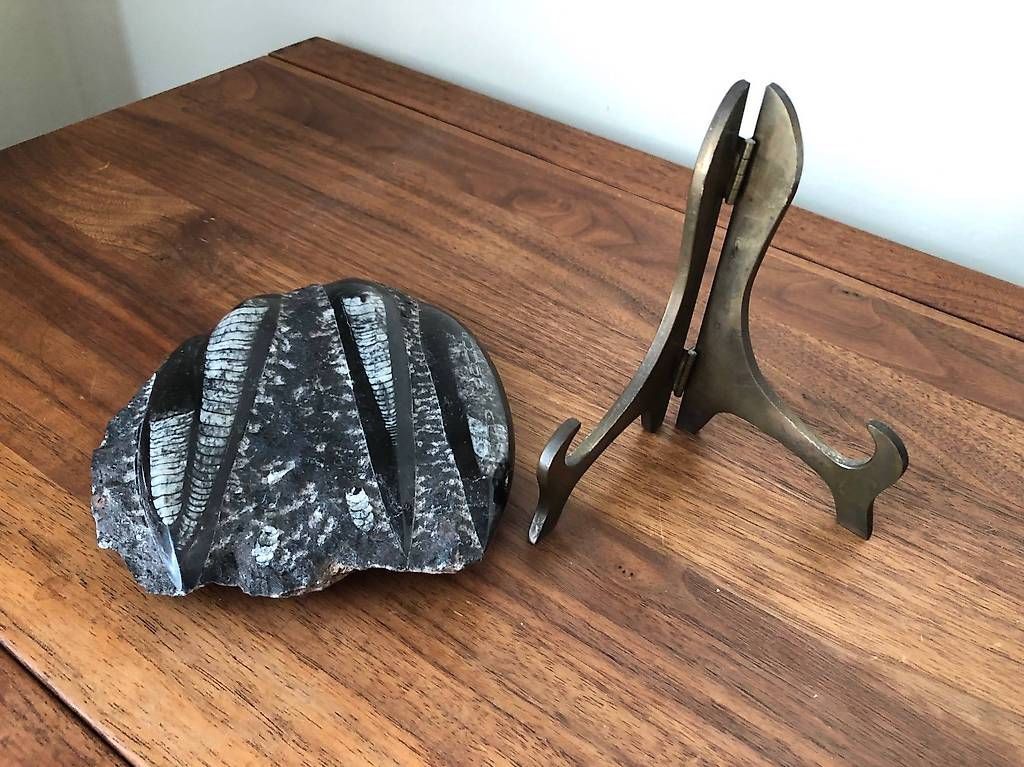 Minerali & Pietre curative: Fossil en pierre noir – Usato da Montreux venduto da Gilles.Charlet 3