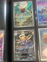 Ninjask (m1S 065) und Ninjatom (m1S 072)