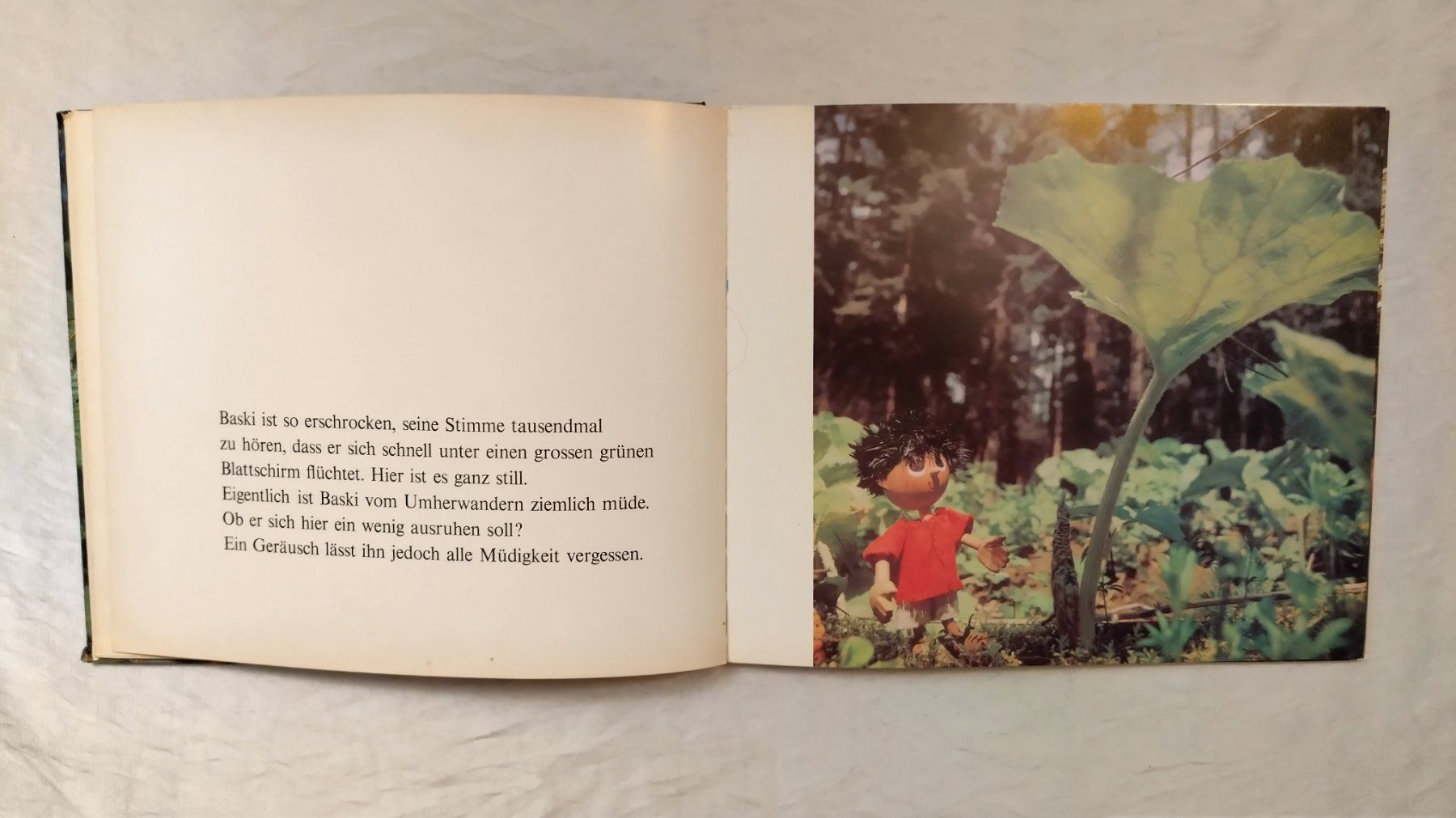 Bücher: Baski Bilderbuch 70er Jahre ab Fr. 10.- – Gebraucht aus Bellach von JingleJerry 7