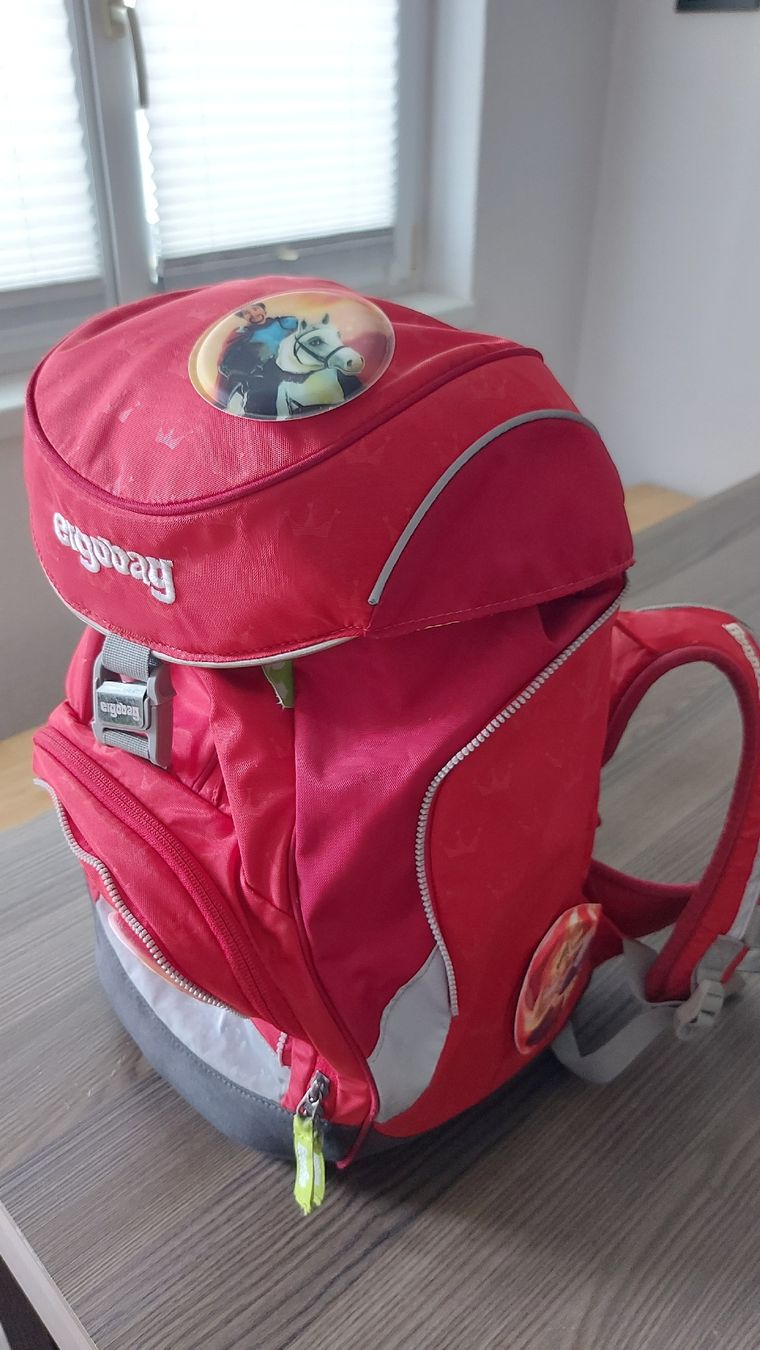 Ergobag Borse & Zaini: ergobag Rucksack – Usato da Fislisbach venduto da honey_12