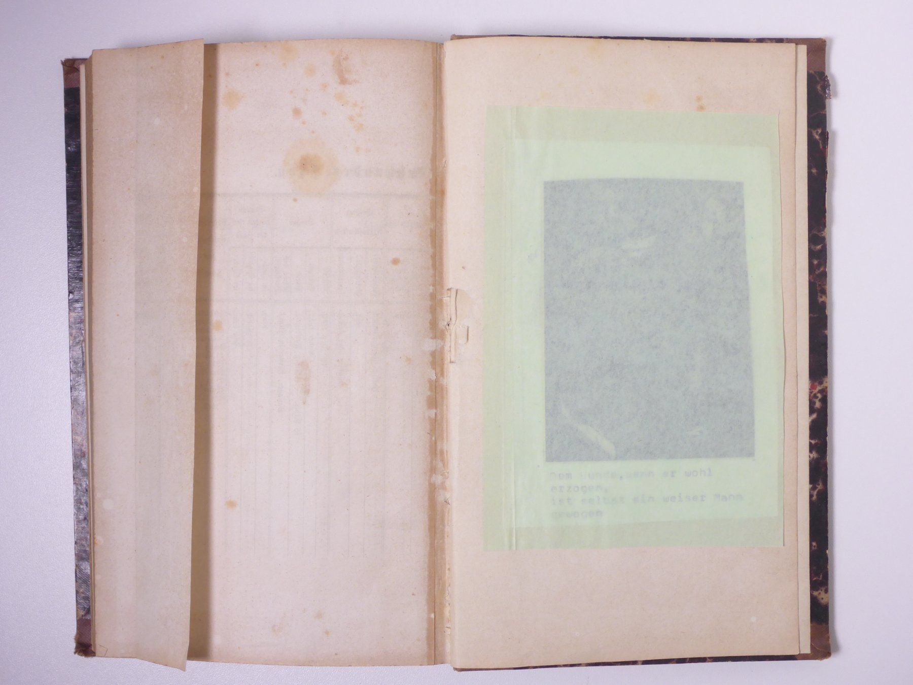 Libri: Friedrich Oswald: Der Vorstehhund. 1855. – Usato da Erschwil venduto da taglang 6