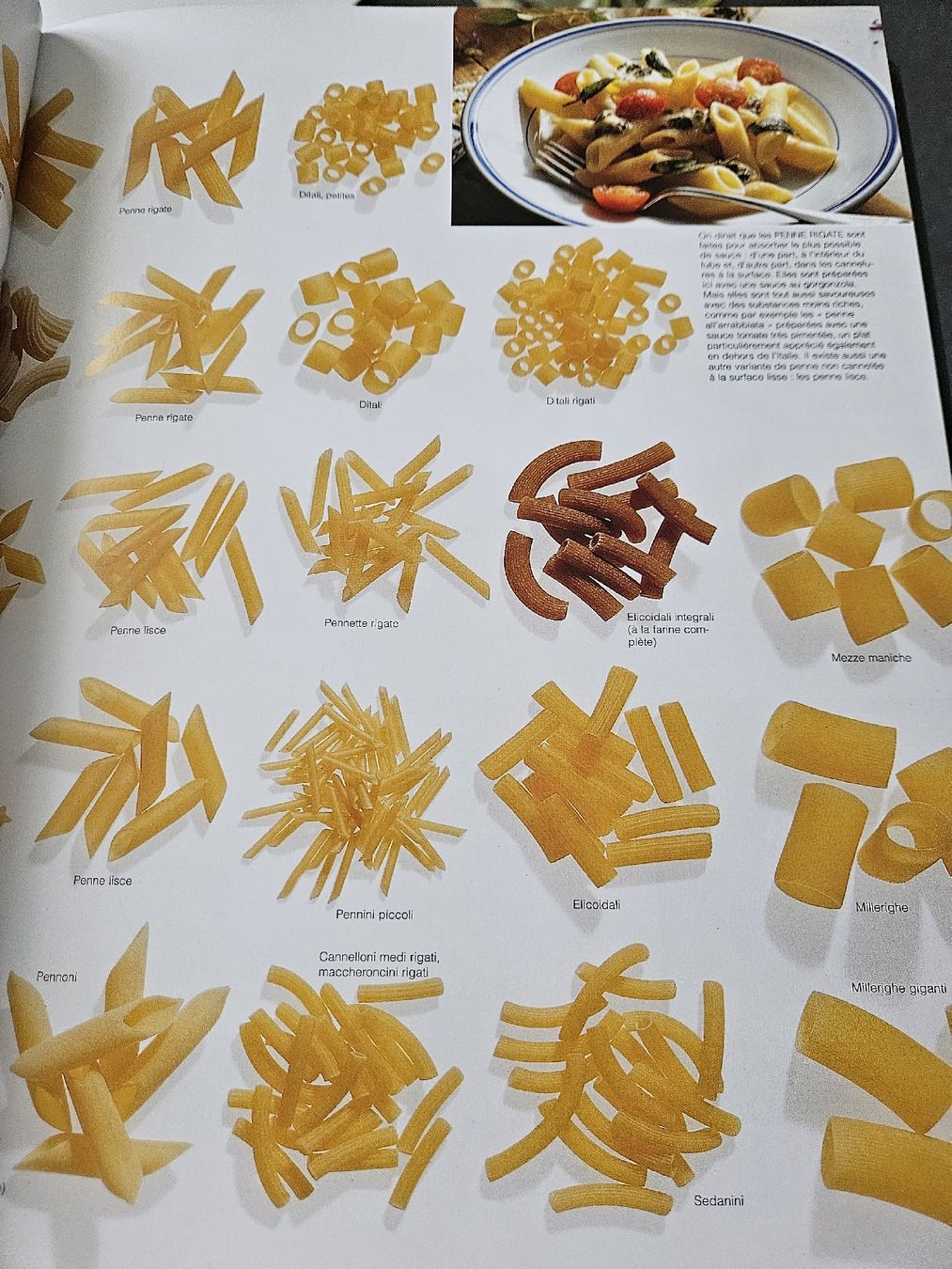 Libri: Teubner Food – Nuovo (secondo la descrizione) da Ipsach venduto da Strahlemann83 4