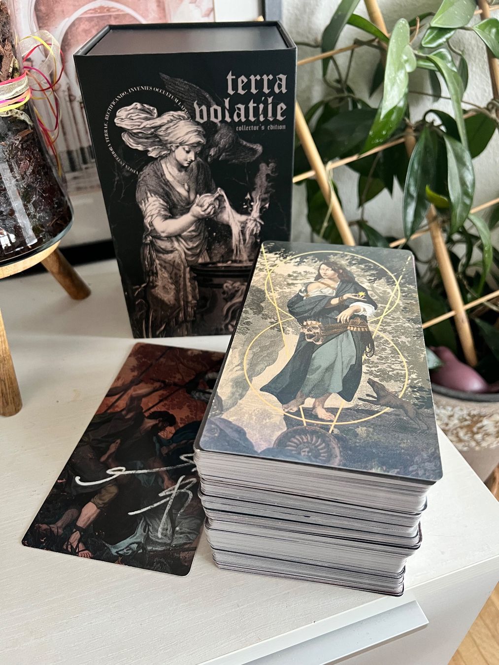 Spiele: Terra Volatile Tarot Karten Deck Collector 'Darkest' Edition – Neu (gemäss Beschreibung) aus Effretikon von YaMn