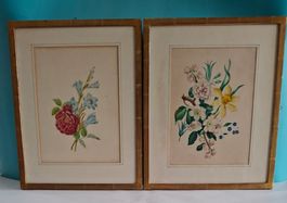 2 antike original Blumen Gemälde Botanik Pflanzen Vintage
