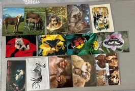 Postkarten Sammlung, Tiere / 7986