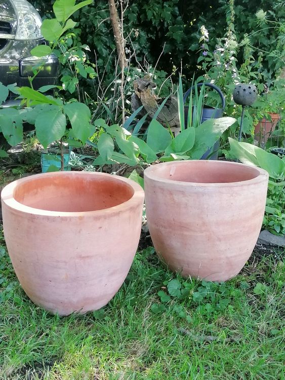 Zwei schöne Terrakotta Töpfe Kaufen auf Ricardo
