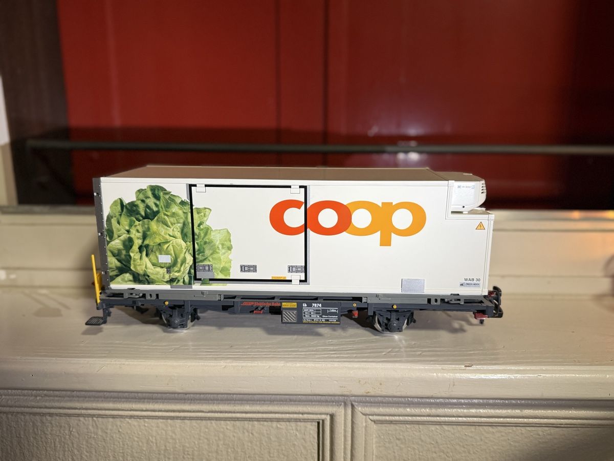 LGB Modellini di ferrovie: RhB Containerwagen LGB – Usato da Thusis venduto da Jasmin1991995