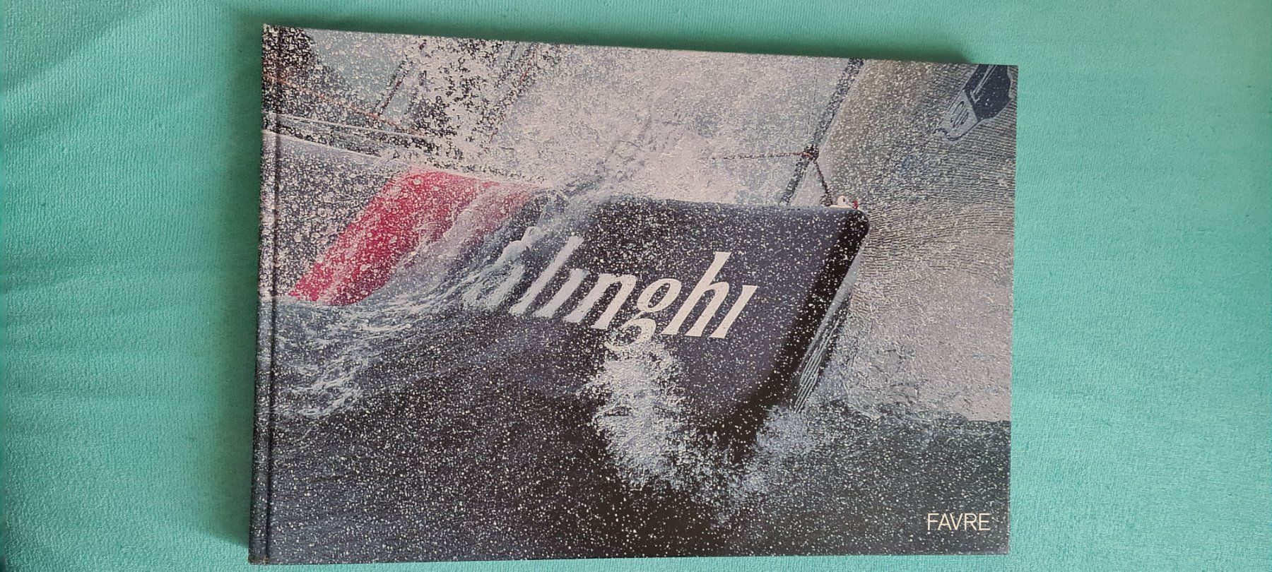 Libri: Alinghi / We did it – Usato da Cortaillod venduto da signep