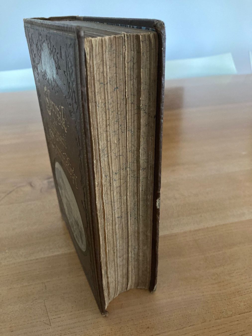 Bücher: Chronik der Kirchgemeinde Neumünster 1889 – Gebraucht aus Manno von tin_2vgz 3