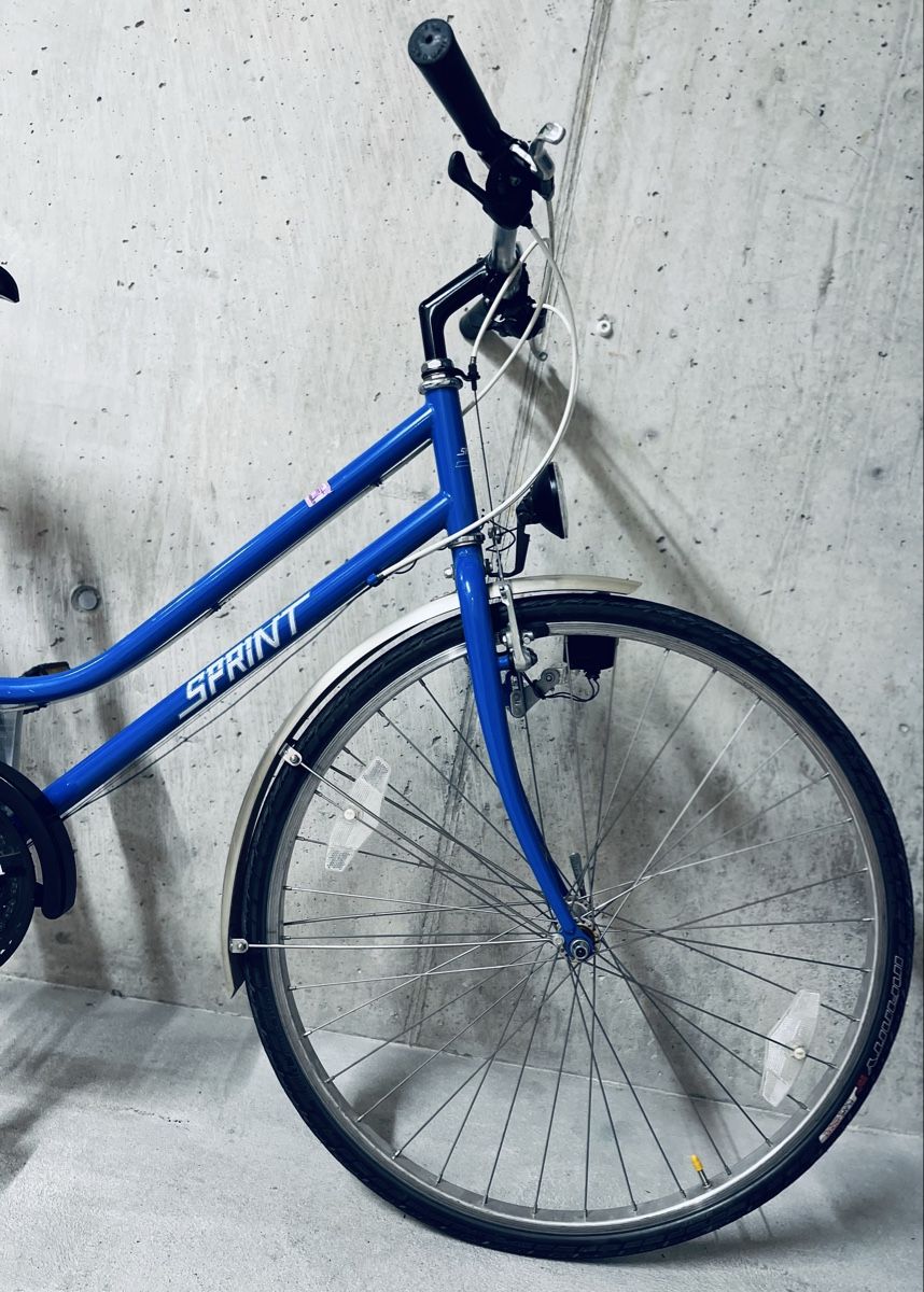 Biciclette: Damen Velo – Usato da Zürich venduto da Bidon3011 4