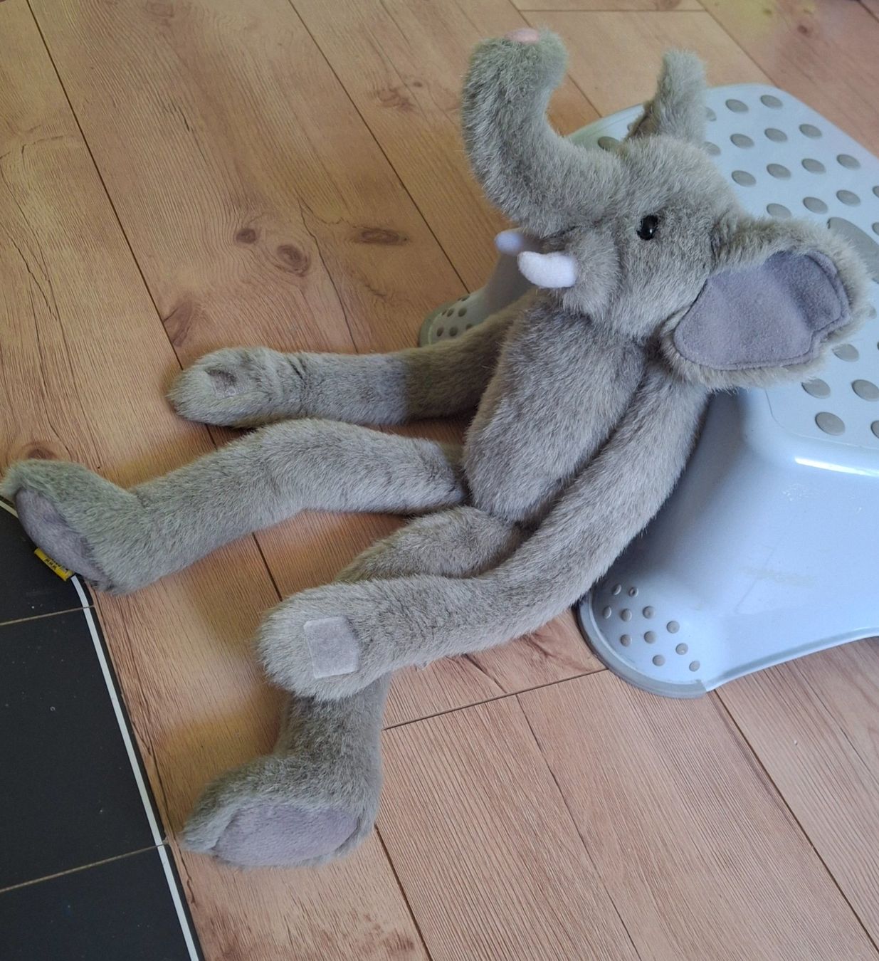Giocattoli: Kuscheltier / Plüschtier Elefant – Usato da Wabern venduto da flicaofking 1
