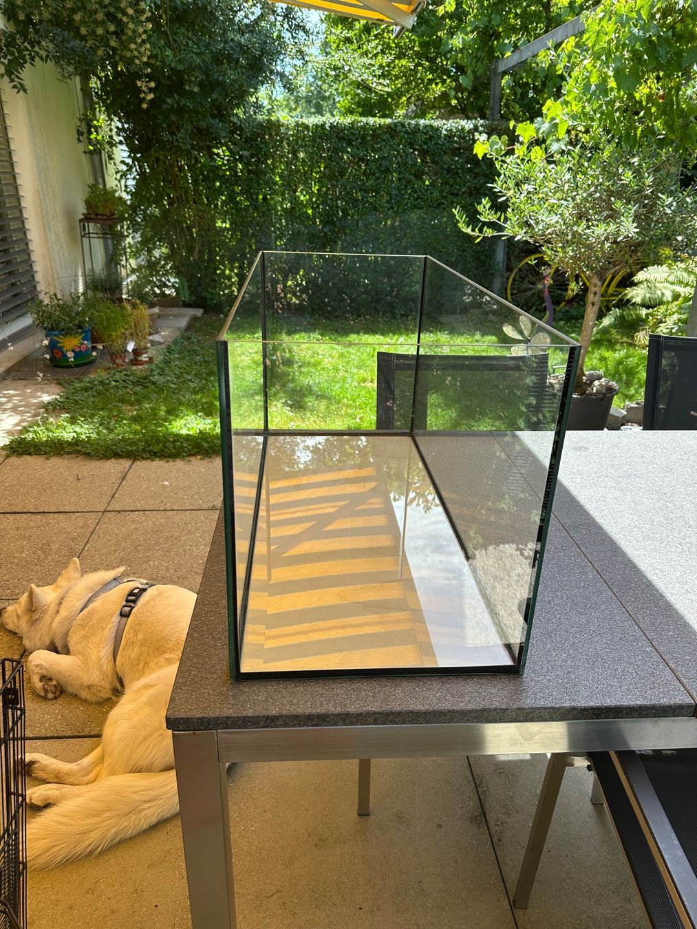 Terrariums: Terrarium 82cmx37cm – D'occasion à Hünenberg See par gin_7fm9 3