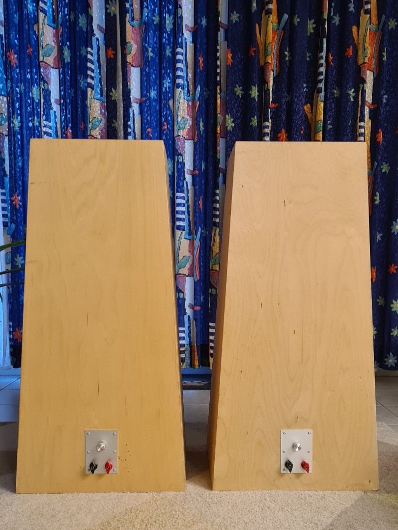 Casse acustiche: Celeste Standlautsprecher aus Hobby Hifi 6/2013 – Usato da Steffisburg venduto da Borger 3
