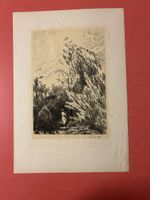 Lithographie von Max Svabinsky Aktfigur Dame in Garten 1960