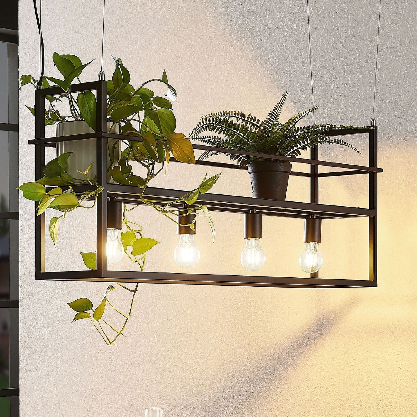 Lampade: Lampe mit möglichkeit Pflanzen auszustellen – Usato da Icogne venduto da 77andy66