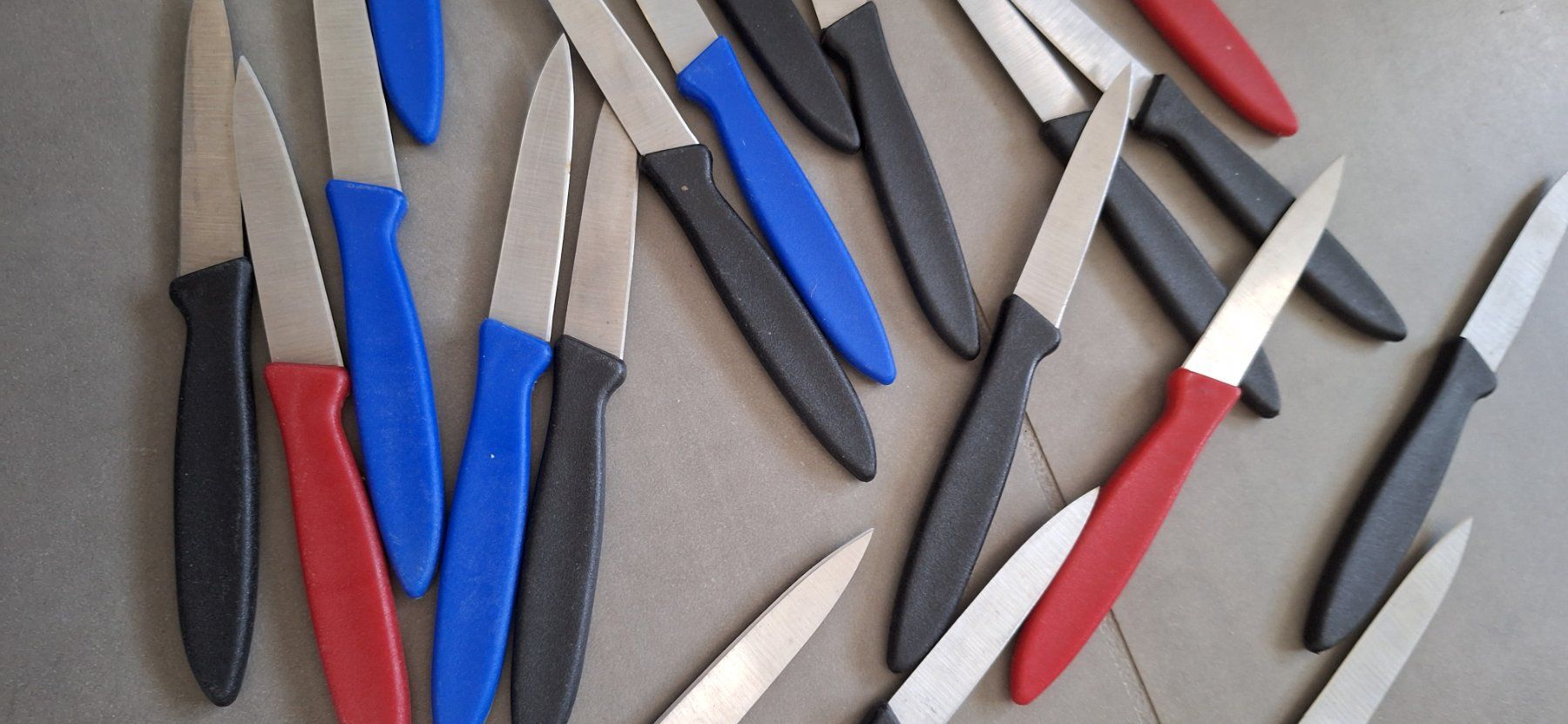 Coltelli da cucina: 19 Rüstmesser mit mehrfarbigen Plastikgriffen – Difettoso da Märstetten venduto da activemember 2