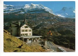 KLAUSEN-PASSHÖHE Hotel, Auto-Bus, Ziege