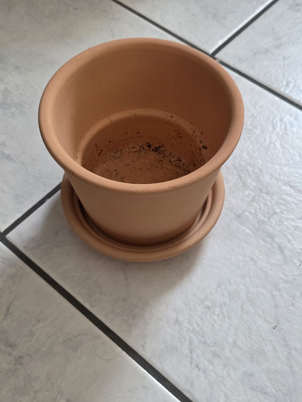 Blumentöpfe: Tontopf mit Untersetzer gebraucht – Gebraucht aus Adlikon von Tami2019