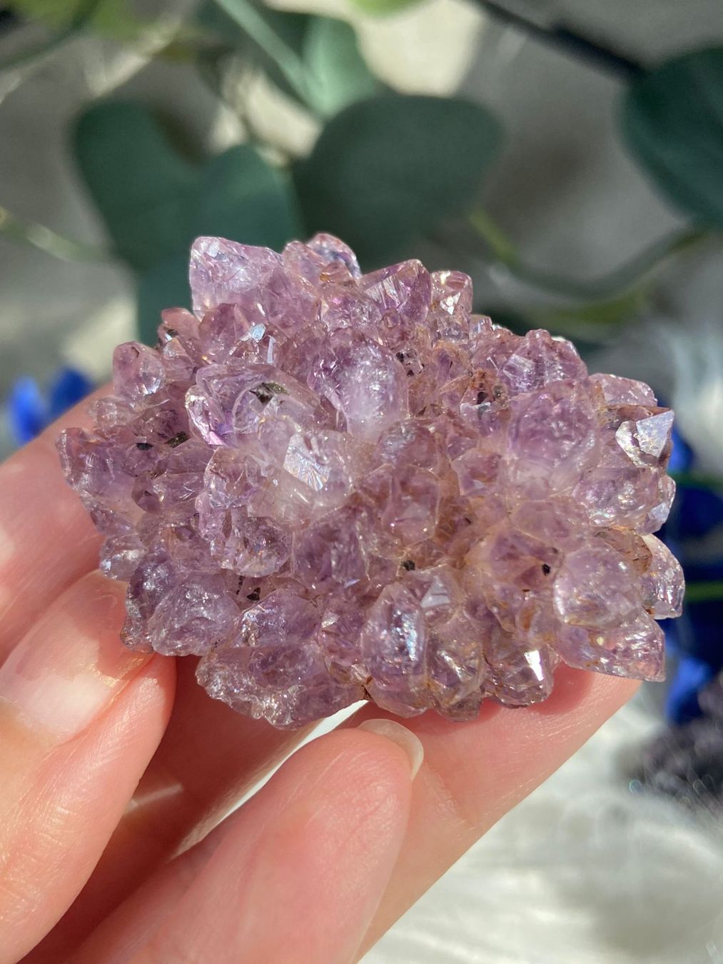Pietre preziose: Amethyst Rosettte mit Goethit – Nuovo (secondo la descrizione) da Neuheim venduto da m.hald 1