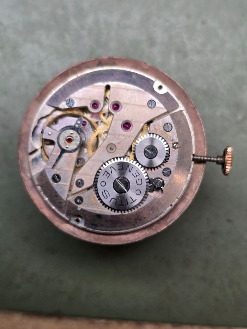Orologi: Mouvement Titus Watch 900 – Usato da Tramelan venduto da Nirdan 2