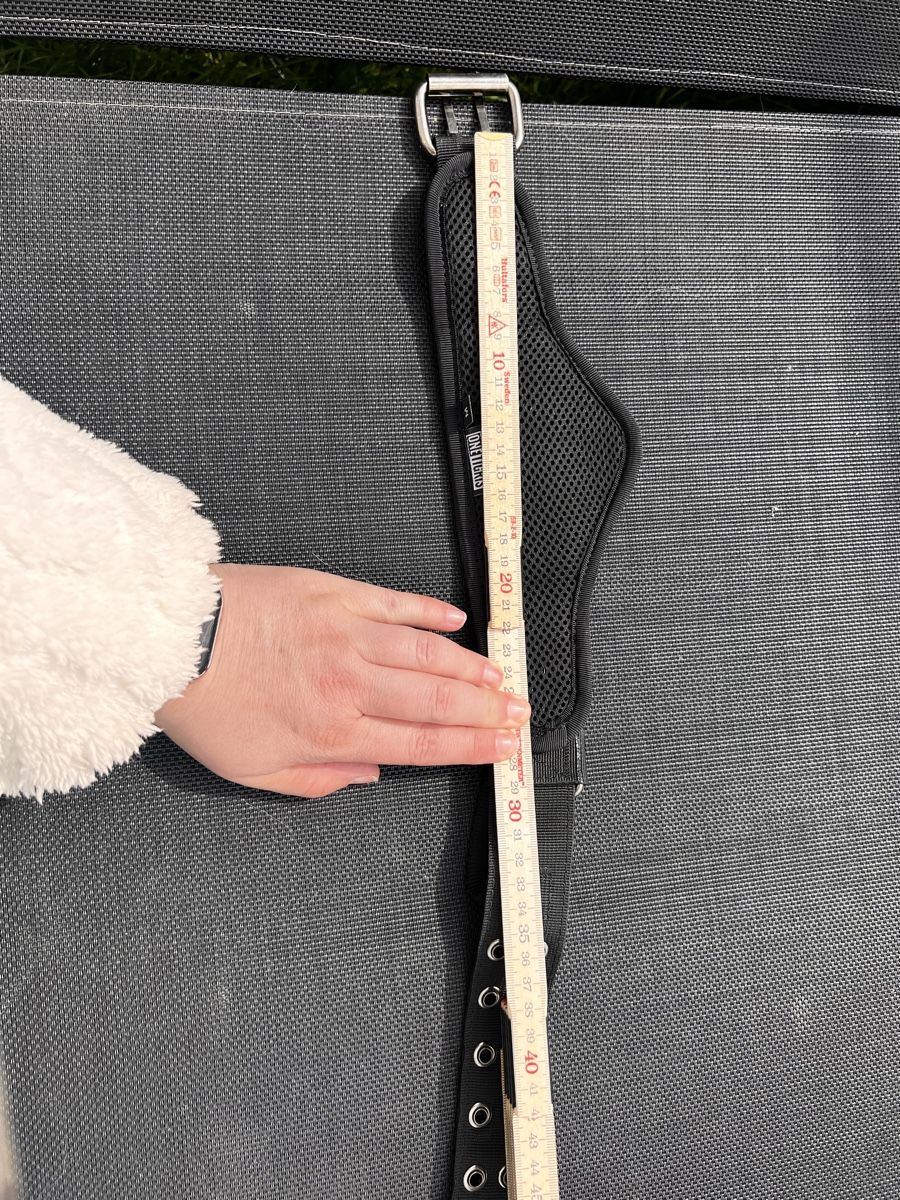 Leine & Halsband: OneTigris Hundehalsband mit Handgriff- Grösse M  – Gebraucht aus Thalheim AG von Kolibri1980 5