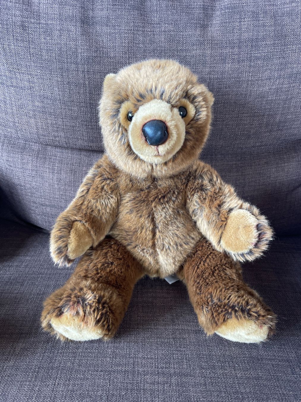 Spielzeuge: Teddybär Plüschtier NEU – Neu (gemäss Beschreibung) aus Genève von Livsonman