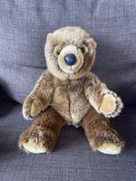 Teddybär Plüschtier NEU