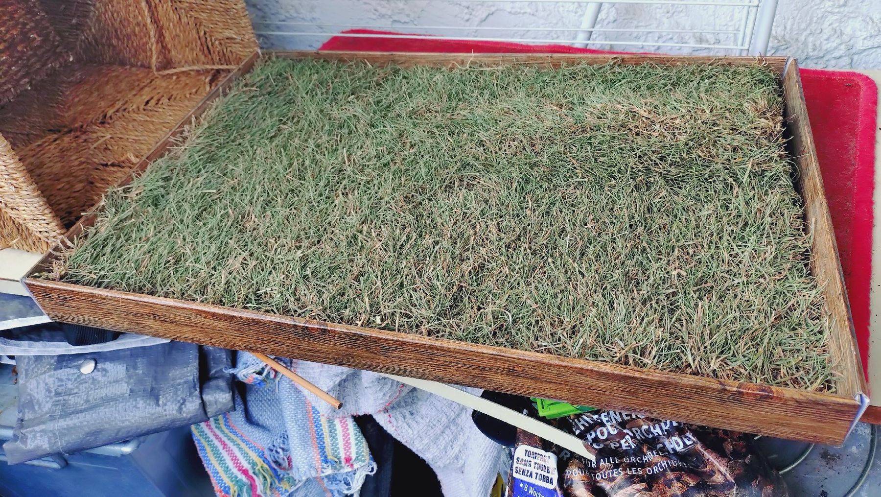 Niches, paniers: Katzen Wiese / cat grass mat  – Neuf (Voir description) à Basel par sal_q5bg 1