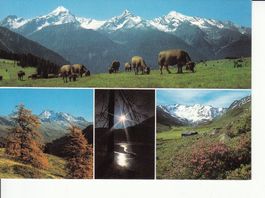 Wiesner Alp um 1990