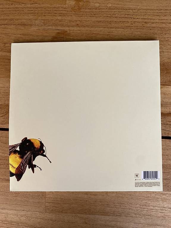 CD: Flower Boy - Tyler, the Creator – Usato da Rämismühle venduto da sau_der 4