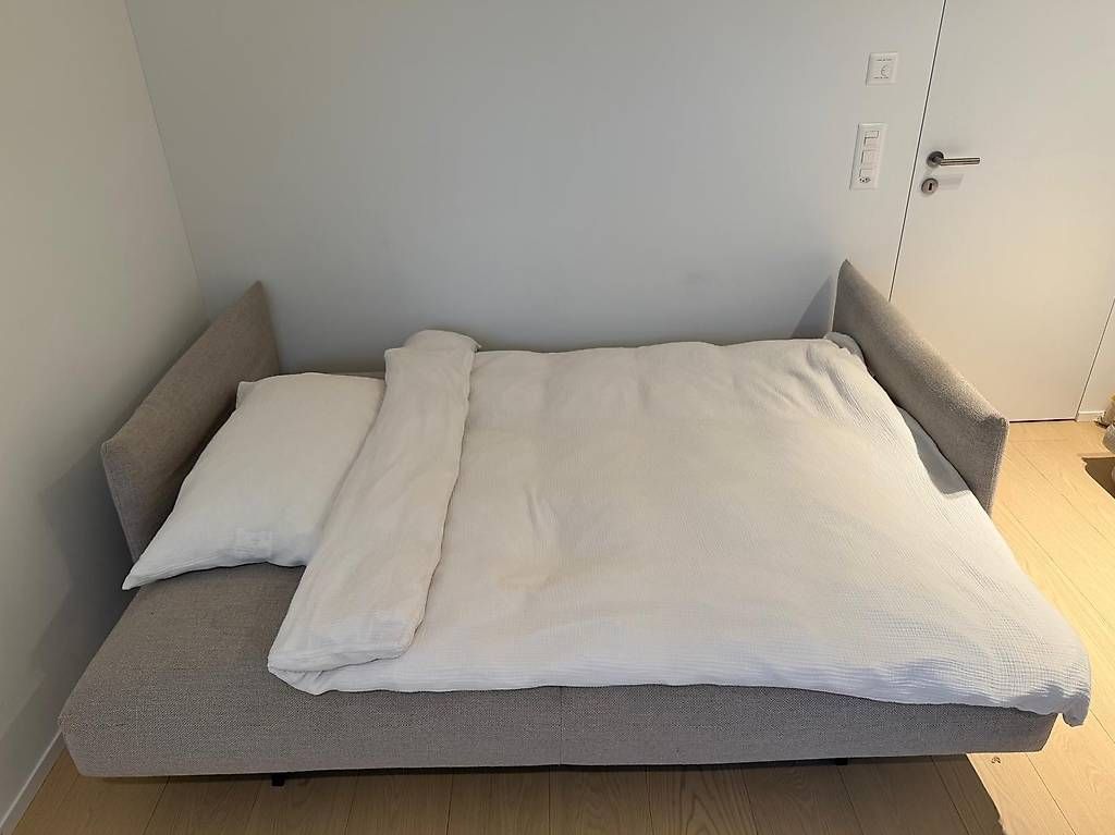 Divani: Sofa – Usato da Oberengstringen venduto da nad_2hm5