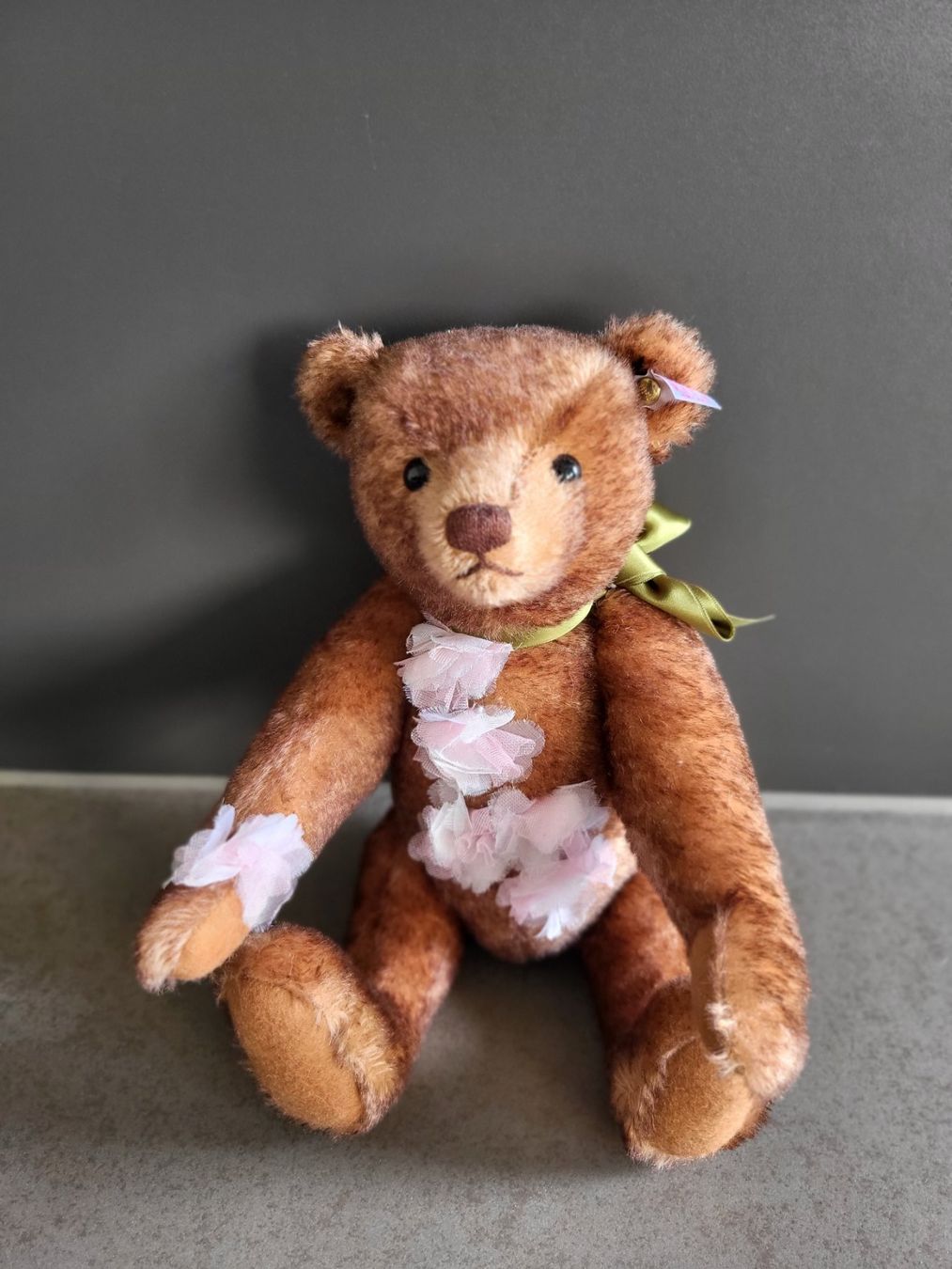 Steiff Spielzeuge: Steiff Teddy – Neu (gemäss Beschreibung) aus Zürich von Orchidee