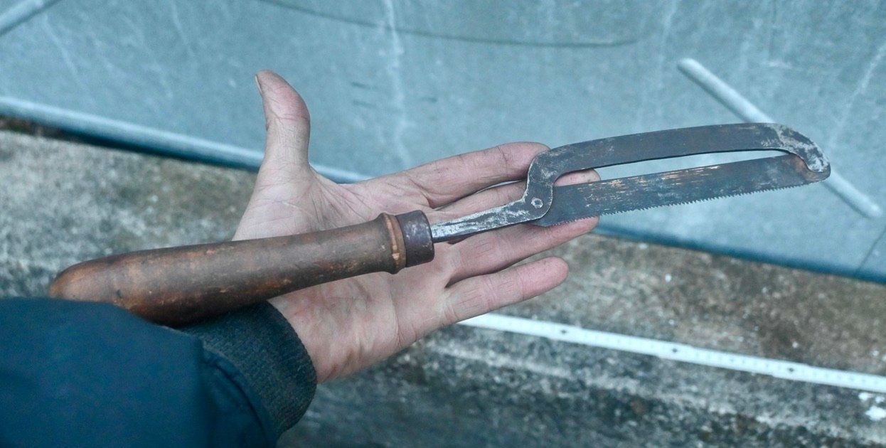 Seghe: antike HANDSÄGE Länge 40cm – Usato da Pfaffhausen venduto da mono_rec 1
