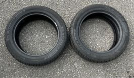 Michelin Alpin 6 225 50 17