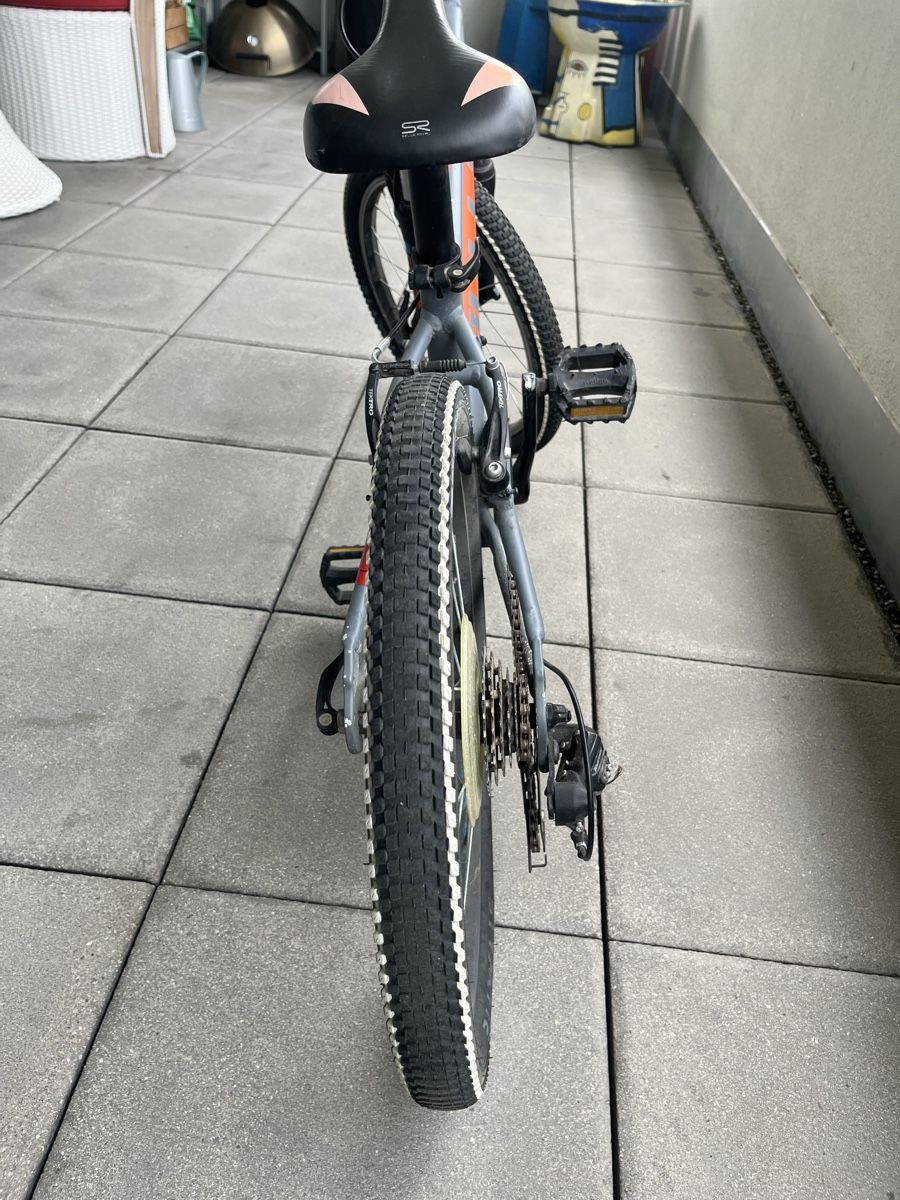 Bulls Biciclette: Velo Bulls – Usato da Birmensdorf ZH venduto da Liruli 3