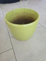 Blumentopf / Übertopf