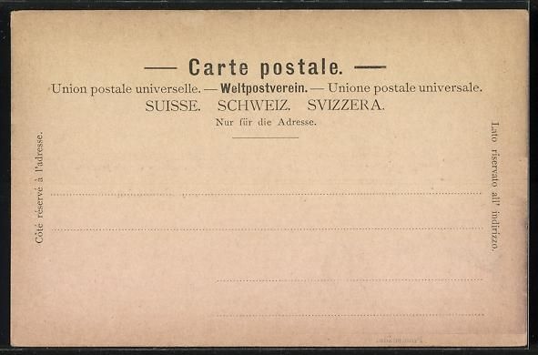 Cartoline postali: Interlaken, Panorama mit Jungfrau, Ruine – Usato da Berlin venduto da bartko-reher 1